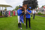 170623-Race 2-Wild Lion-0268