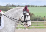 BPP_0407