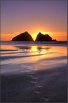 Footprints in the Sand