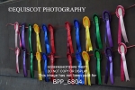 BPP_6804