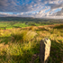 Longridge Fell