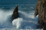 Lenan Head (08040781)
