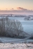ab666 Winter frost Gatcombe