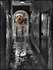 Alnwick alley dog comp HDR resized