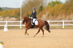SBM_010513