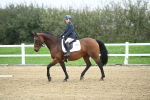 LAD_3860
