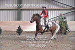 BPP_6639