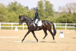 SBM_008364