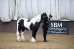 SBM_5355