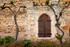 Window Shutter Bruniquel