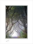 Co. Antrim portfolio