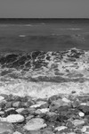 109_0960 copy