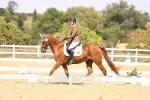 SBM_014971