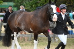 WJ6_8077