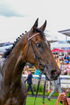 260725-Race 5-Beylerbeyi-0766