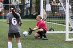 1DX31201