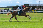 160725-Race 3-Miss Yechance-9019