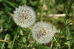 1G5A1671