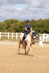 SBM_009766