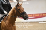 BPP_8451