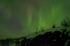"Northern Lights"