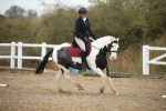 SBM_001171