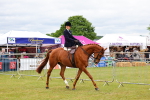 SBM_02930
