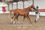 JAC_5079