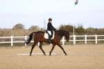 SBM_009562