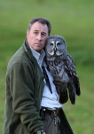 The Falconer & the Great Grey Owl