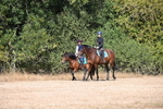 WJ6_7859