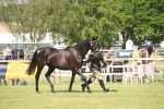 SBM_09262