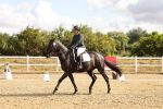 SBM_003331