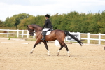SBM_011886