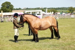 SBM_07152