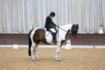 SBM_003539