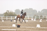 SBM_004656