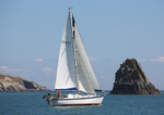 140729 SCOT FREE GBR1443T WT7A1861