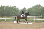 SBM_000953