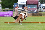 SBM_08229