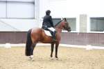 SBM_010125