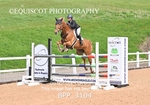 BPP_3104