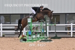 BPP_4497
