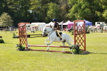 SBM_12641