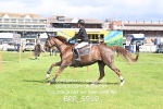 BPP_5919