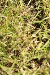 SBM_18502
