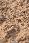 231015A-160304-09215