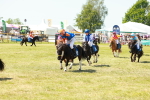 SBM_17325