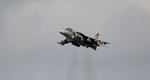 HARRIER 01