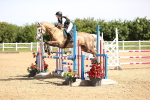 SBM_003623